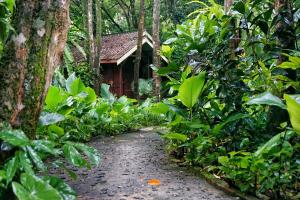 Zahrada ubytování Khao Sok Riverside Cottages