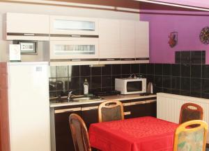 Kuchyň nebo kuchyňský kout v ubytování Penzion V Ráji