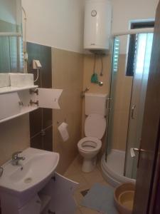 a bathroom with a sink and a toilet and a shower at Apartment Kotor-Andrija Jovanovic in Kotor