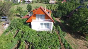 Zahrada ubytování Mandula Apartmanok
