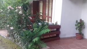 Zahrada ubytování A Casa di Nené