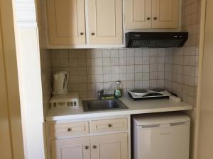 a small kitchen with a sink and a microwave at Sylvia Studios in Agia Marina Aegina