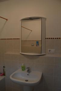 ein Bad mit einem Waschbecken und einem Spiegel in der Unterkunft Barock Hengst Hof in Niederhaverbeck