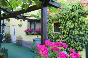 Zahrada ubytování Spreewald Ferienwohnung Lübben