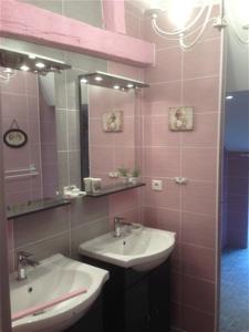 a bathroom with a sink and a mirror at la bonbonniere in Saunay +13 photos
