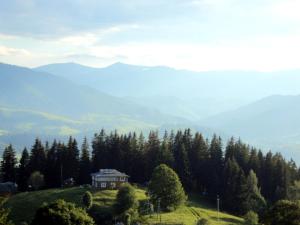 ヴェルホヴィナにあるVershyna Goryの山を背景にした丘の上の家