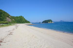una spiaggia sabbiosa con alberi e acqua di なにもない幸せな島のリトリート宿 THE BONDS Island Stay a Matsuyama