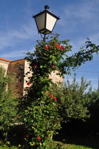 A garden outside El Jardin de Manuela