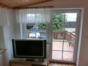 TV en la sala de estar con puerta corredera de cristal en Bauernhof Welde Fewo "Falkennest", en Reinhardtsdorf