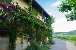 Foto dalla galleria di Turistična kmetija Vrezner Apartment a Zgornja Kungota