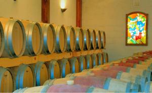 a row of wine barrels in a room at Chateau La Mothe du Barry in Moulon-sur-Dordogne