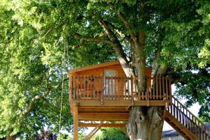 a wooden tree house in a tree at Les Cabanes de Gros Bois in Prailles