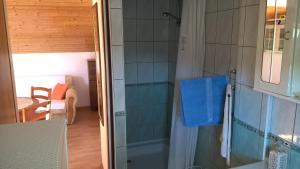 a bathroom with a shower with a glass door at Captain Apartments in Vinišće +19 photos