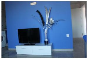 TV/trung tâm giải trí tại Apartamentos Turísticos La Boutique del Mar