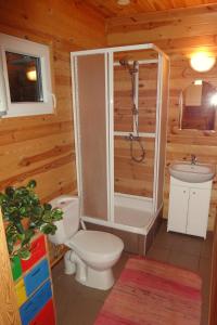a bathroom with a shower and a toilet and a sink at Domki Irka nad morzem in Łeba