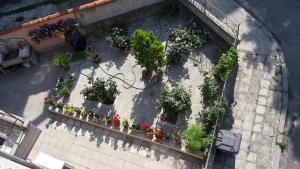 an overhead view of a garden with plants and flowers at Apartment Geni in Pomorie
