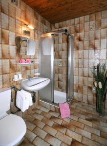 y baño con ducha, lavabo y aseo. en Ferienwohnungen Rahm, en Mayrhofen