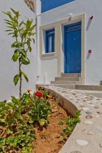 a house with a blue door and a plant at Alisachni Villas in Lefkos Karpathou