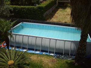 una piscina vacía en un patio con una palmera en B&B Villa San Leonardo, en Mascali