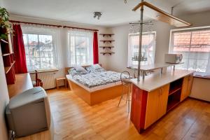 1 dormitorio con 1 cama y escritorio en una habitación en Penzion Hradební, en Tábor