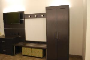 a large black cabinet in a room with a mirror at Holiday Inn Express Hotel & Suites Kingsport-Meadowview I-26, an IHG Hotel in Kingsport