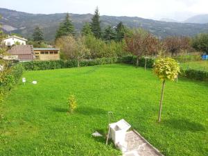 um jardim verde com uma pequena árvore na relva em Belvilla by OYO Casa Via Pieve em Ponte della Venturina