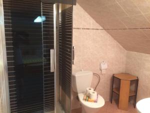 Koupelna v ubytování penzion Podlesí + 35 fotografií
