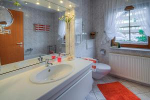 a bathroom with a sink and a toilet and a mirror at KaLü Apartments in Braunlage