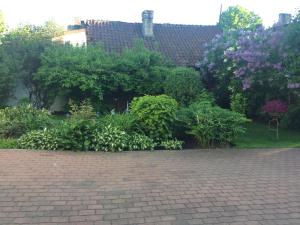 a garden of plants and flowers on a brick driveway at Viesu Nams Mežu 13 in Ventspils