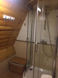 a bathroom with a shower and a toilet at Viesu Nams Mežu 13 in Ventspils