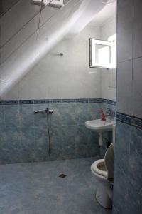 a bathroom with a shower and a toilet and a sink at Osogovo Rooms in Sofia