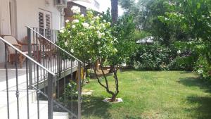 Zahrada ubytování Apartment Pijer