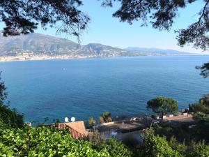 a view of a large body of water at Appartement Le Cernuschi 2D in Menton