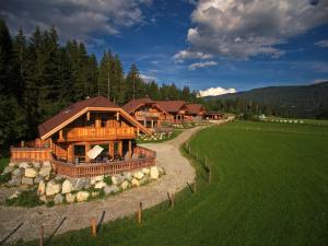 an aerial view of a large log house in a field at Alpenchalets Weissenbacher in Tamsweg