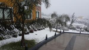 Gallery image of Rahuen Hotel/Restaurant in Carpintería