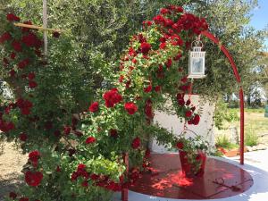Um jardim em Villa Cenzina