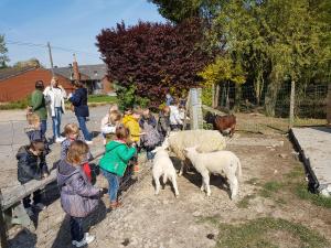 un grupo de niños mirando ovejas en una pluma en Holiday home Het Zeugekot, en Beveren