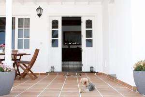 Patio lub wspólna przestrzeń na świeżym powietrzu w obiekcie VILLA MANUELA by Buenavilla