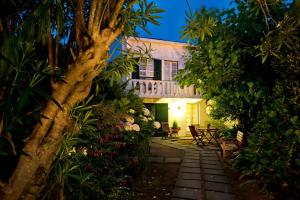 a garden with a house with a palm tree at Quinta das Buganvílias in Castelo Branco