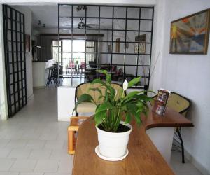 a potted plant on a table in a room at Alexander in Pefkochori +25 photos
