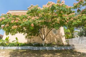 a tree with pink flowers in front of a building at Summer Dream in Vlachata