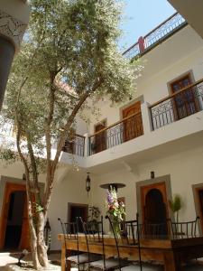 a tree in the courtyard of a house at Dar Rocmarra in Marrakesh