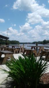 a group of wooden picnic tables in front of a lake at Big River Marina & Lodge in Astor