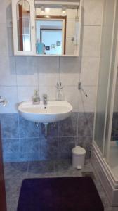 a bathroom with a sink and a mirror at Apartments Branko in Veli Rat +11 photos