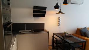 Kuchyňa alebo kuchynka v ubytovaní Apartman VIP, with Free Garage Parking