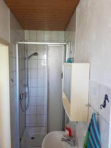 a bathroom with a shower and a sink and a toilet at Schöne, private Wohnungen in Aalen +16 photos
