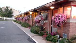 a row of flowers on the side of a building at Swiss Mountain Motel in Thayne