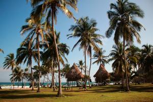 a beach with palm trees and palm trees at Ecolodge Playa Brava Teyumakke in Calabazo