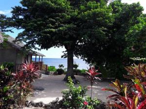 Photo de la galerie de l'établissement Rocky Ridge Bungalows, à Tanna