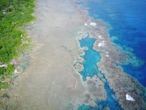 Photo de la galerie de l'établissement Rocky Ridge Bungalows, à Tanna